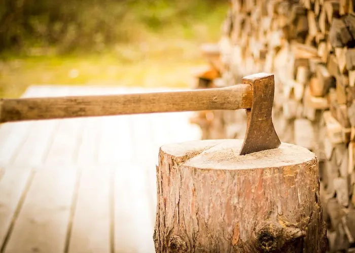 Almhuette Hirschfisch Domek alpejski Bodensdorf